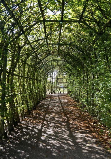 Pergola in Rheinsberg Castle Park, Ruppiner Land, Brandenburg, Germany