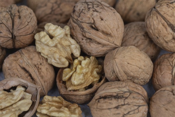 Decorative fresh walnuts from Germany
