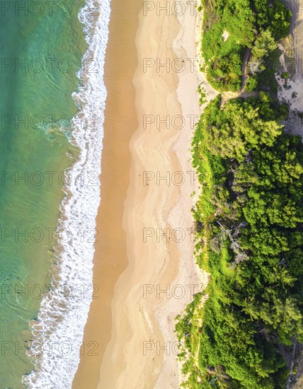 Green algae on the sandy shore of an ocean. Fascinating phenomenon of wild coastline with green plants, white sands, stone, blue water and cliffs, Aerial view of a beautiful abstract unreal and textured landscape, AI generated