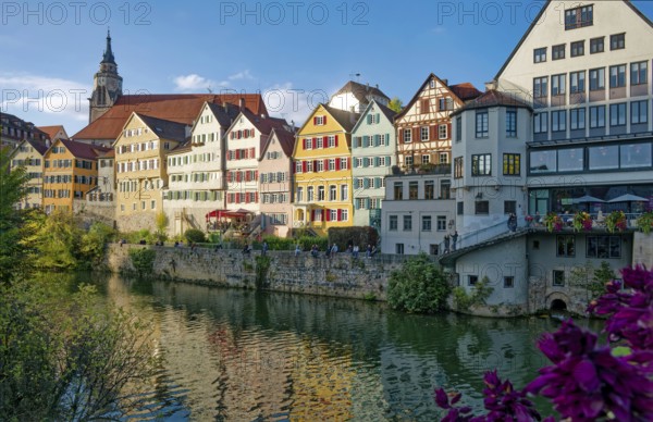 Historic houses on the Neckar front, the Neckar river, water reflection, old town of Tübingen, Baden-Württemberg, Germany