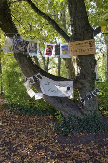 Installation on feminicides, reminder, violence against woman, memorial site, plane tree alley on Neckar Island, Tübingen, Baden-Württemberg, Germany