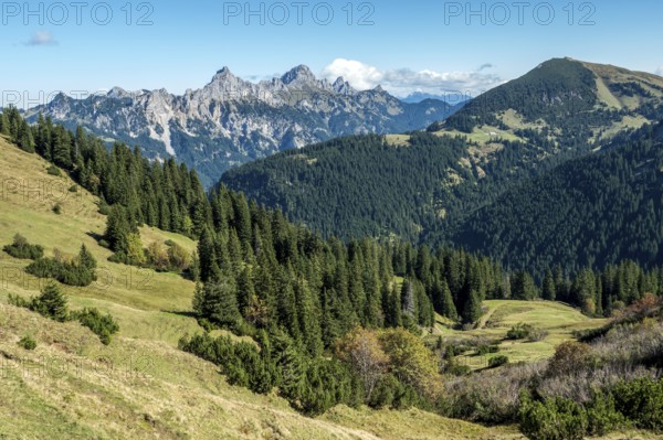View from the Saalfelder Höhenweg to Schartschrofen and Rote Flüh, Tannheimer Tal, Allgäu Alps, Tyrol, Austria
