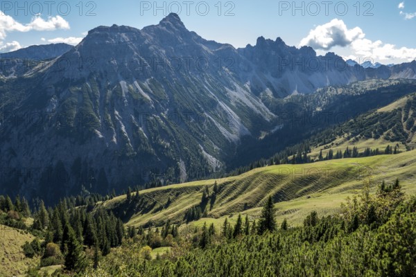 View from the Saalfelder Höhenweg to the mountains of the Allgäu Alps, Tannheimer Tal, Tyrol, Austria
