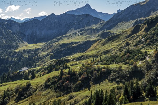 View of hiking trails and the Allgäu mountains from the Saalfelder Höhenweg, Schochenspitze in the back, Tannheimer Valley, Tyrol, Austria