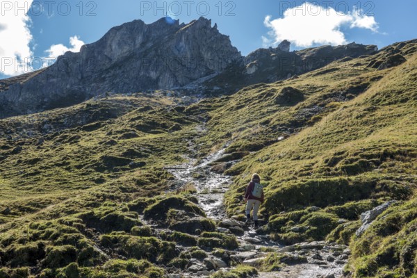 Female hiker on hiking trail, Sallfelder Höhenweg, back Schochenkopf, Tannheimer Mountains, Allgäu Alps, Tannheimer Valley, Tyrol, Austria