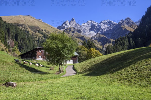 Old farmhouse in Einödsbach, behind Trettachspitze, autumn atmosphere, behind Trettachspitze, Oberstdorf, Oberallgäu, Allgäu, Bavaria Germany