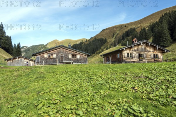 Hintere Einödsberg-Alpe, behind mountains of the Allgäu Alps with Trettachspitze, Mädelegabel, Hochfrottspitze, Wilder Mann and Linkerskopf, Einödsbach, Oberstdorf, Oberallgäu, Bavaria Germany