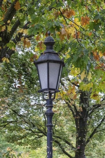 Historic lantern in front of trees with colorful autumn leaves in the park, Münsterland, North Rhine-Westphalia, Germany