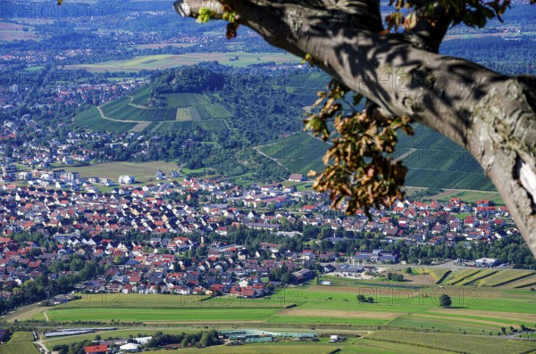 Picturesque scenery on the eaves of the Swabian Jura near Olgafels on Rossfeld in Metzingen-Glems, Baden-Württemberg, Germany