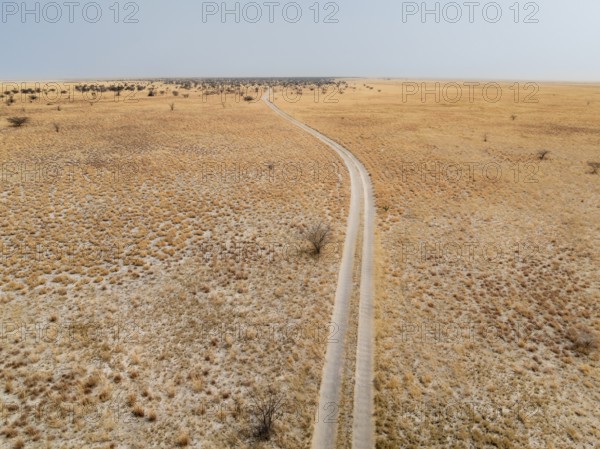 Aerial view, Lonely road in dry landscape, Botswana