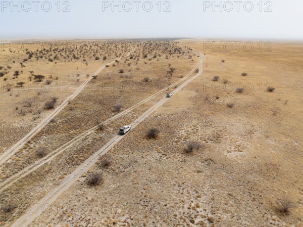 Aerial view of two off-road cars driving on a road in arid countryside, African savanna, Botswana