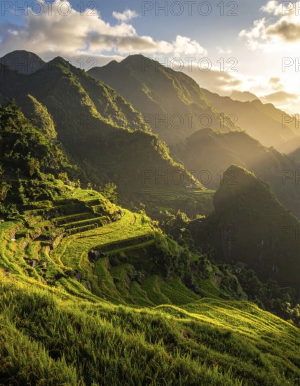 Early morning light bathes Philippines rice terraces cascading down mountain slopes, beautiful golden light, AI generated