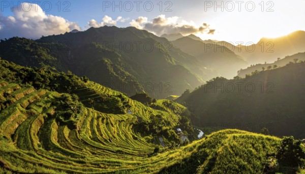 Early morning light bathes Philippines rice terraces cascading down mountain slopes, beautiful golden light, AI generated
