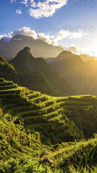 Early morning light bathes Philippines rice terraces cascading down mountain slopes, beautiful golden light, AI generated
