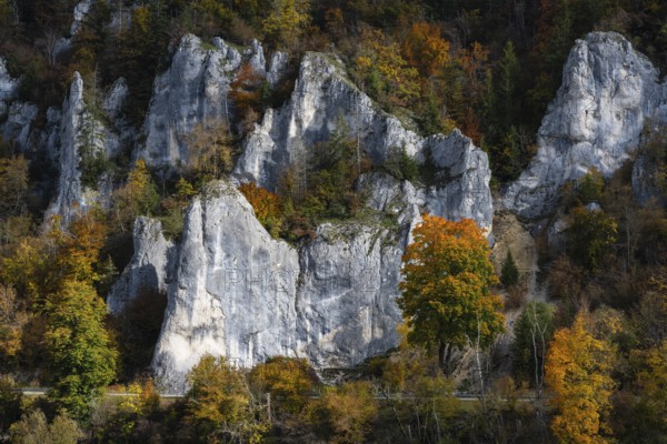 Distinctive Jurassic limestone cliffs in the upper Danube Valley, surrounded by autumn vegetation, Sigmaringen district, Baden-Württemberg, Germany