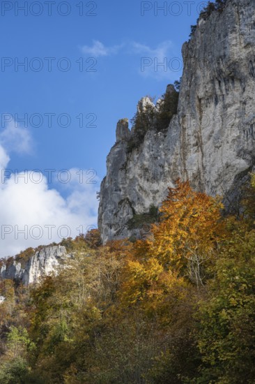 Distinctive Jurassic limestone cliffs in the upper Danube Valley, surrounded by autumn vegetation, Sigmaringen district, Baden-Württemberg, Germany