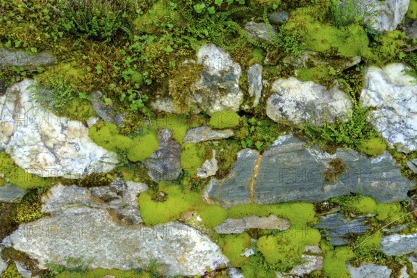 Moss-covered wall, cemetery wall, parish church of St. Johannes der Täufer, Weissbriach, Gitschtal, Carinthia, Austria