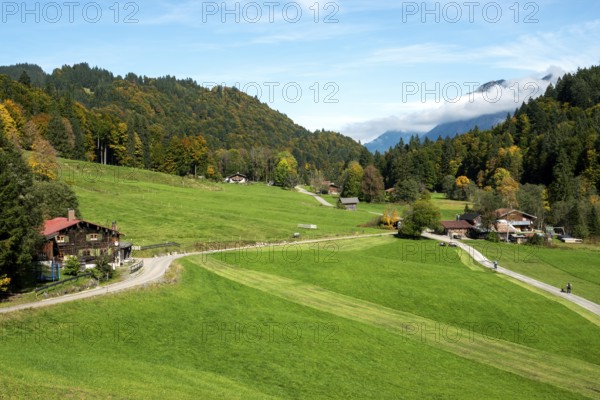 Weiden und Bauernhäuser, near Schwand, Stillachtal, Oberstdorf, Oberallgäu, Allgäu, Bavaria, Germany