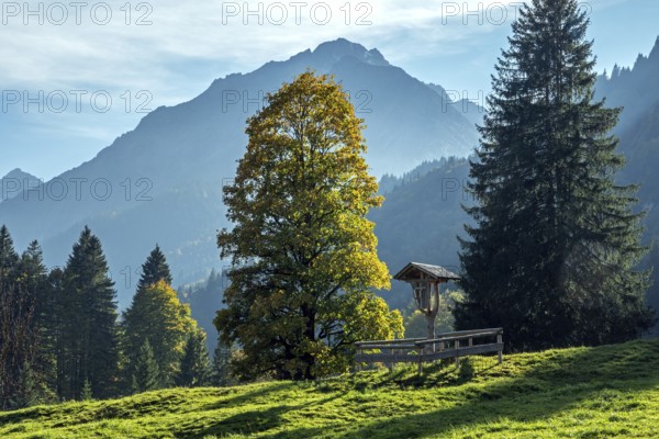 Crossroads in front of autumnal trees, behind mountains of the Allgäu Alps, Schwand, Stillachtal, Oberstdorf, Oberallgäu, Allgäu, Bavaria, Germany