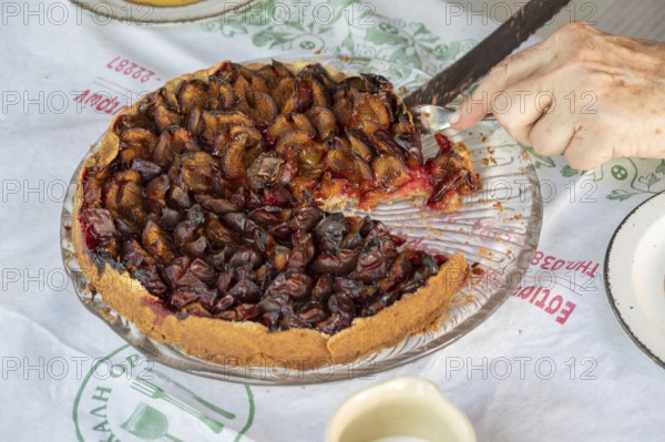 Fresh plum cake is cut, Bavaria, Germany