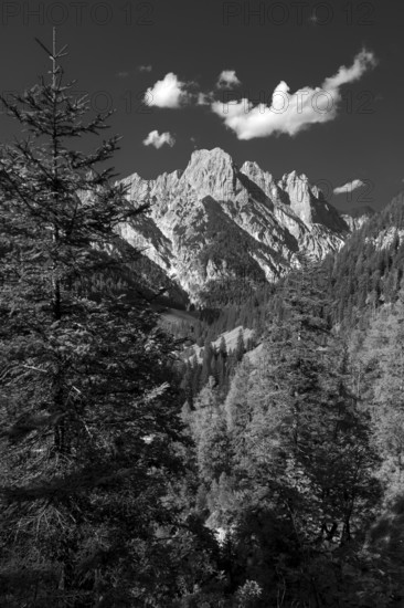 The southern falls of the Reither Alm above the Bindalm in the Klausbach Valley, Berchtesgaden National Park, Berchtesgaden Alps, Bavaria, Germany