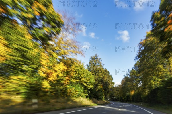 Car ride over winding country road, autumn leaves, sunny autumn weather, motion blur, Barntrup, Ostwestfalen-Lippe, Teutoburger Wald Eggegebirge nature park Park, North Rhine-Westphalia, Germany