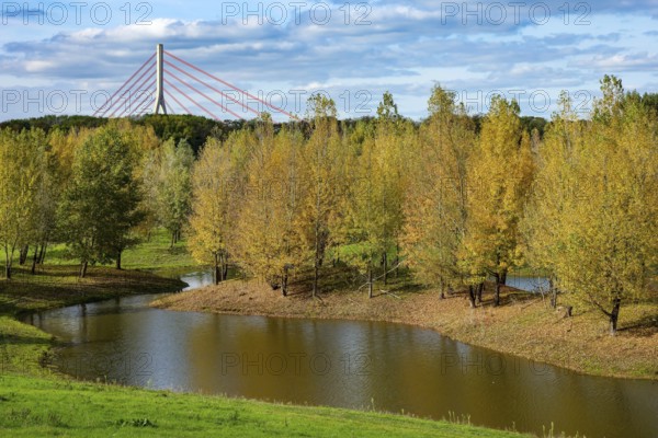 Wesel, Lower Rhine, North Rhine-Westphalia, Germany - autumn on the Lippe, trees with colorful autumn leaves in the restored river floodplain area of Büdericher Insel above the mouth of the Lippe into the Rhine, Lippe estuary nature reserve, in the back the Lower Rhine bridge Wesel