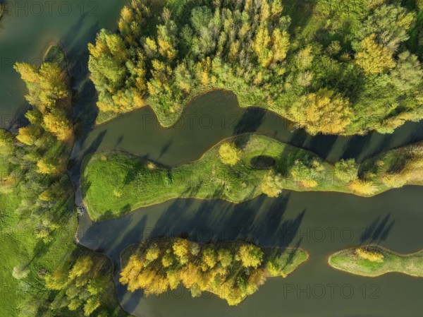 Wesel, Lower Rhine, North Rhine-Westphalia, Germany - autumn on the Lippe, trees with colorful autumn leaves in the restored river floodplain area of Büdericher Insel above the mouth of the Lippe into the Rhine, Lippe estuary nature reserve
