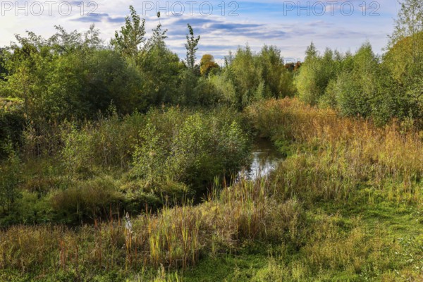 Bottrop, North Rhine-Westphalia, Germany - Autumn on the restored Boye, the tributary of the Emscher, was converted into a near-natural body of water, flood protection through redesigned flooding areas, the Boye is now wastewater-free after the construction of a parallel sewer, belongs to the Emscher river system and thus to the Emscher conversion, was previously an open, aboveground waste water channel, mixed water channel with surface water and waste water