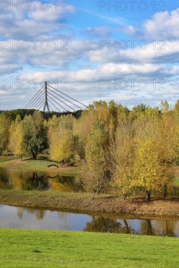Wesel, Lower Rhine, North Rhine-Westphalia, Germany - autumn on the Lippe, trees with colorful autumn leaves in the restored river floodplain area of Büdericher Insel above the mouth of the Lippe into the Rhine, Lippe estuary nature reserve, in the back the Lower Rhine bridge Wesel