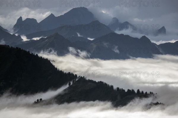 View from the Nebelhorn summit to mountains of the Allgäu Alps, mountains rising from fog in the valley, Oberstdorf, Oberallgäu, Allgäu, Bavaria, Germany