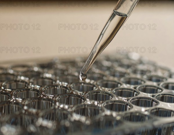 A single droplet hovers at a pipette tip above a microplate bathed in warm, soft light, Pipette dispensing a liquid onto a multi-well plate in a clean laboratory, close up of medical equipment with blurred laboratory background, science, technology and health concept, AI generated