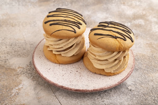 Caramel Cream Cakes on brown concrete background, side view, close up