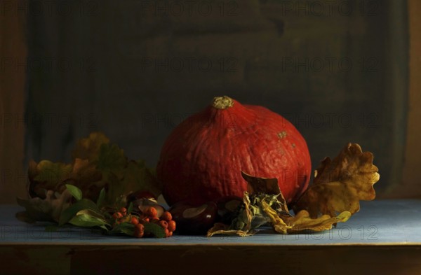 Autumn still life with pumpkin, October, Germany