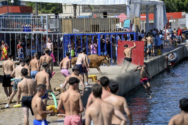 Bous a la Mar Fair, in English Bulls in the Sea, Bullfighting, Javea or Xàbia, Alicante Province, Comunidad Valenciana, Spain