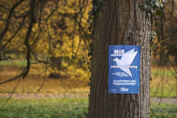 Poster on a tree trunk, call for a demonstration against war, peace demo, dove of peace, day of German unity, autumn leaves, leaves, main cemetery, autumn, Stuttgart, Baden-Württemberg, Germany