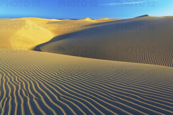 Sand dunes, Maspalomas, Playa del Ingles, Gran Canaria, Canary Islands, Spain