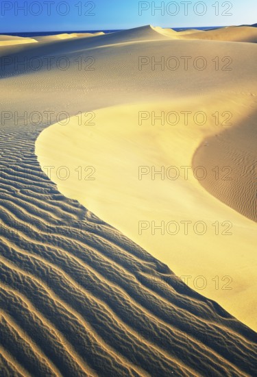 Sand dunes, Maspalomas, Playa del Ingles, Gran Canaria, Canary Islands, Spain
