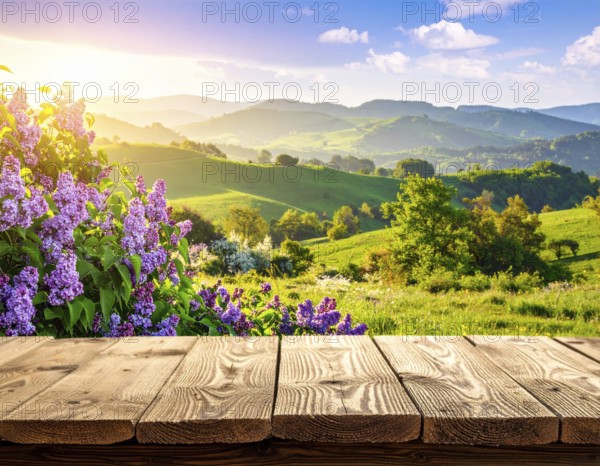 Beautiful Spring Lilacs Bloom Over Wooden Table with Rolling Hills in Background, sunrise at horizon, AI generated