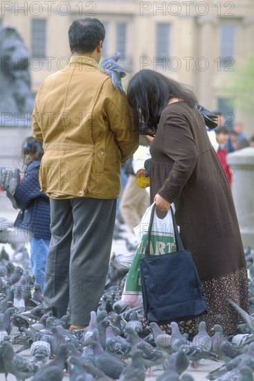 Man and woman surrounded by pigeons (Columba livia domestica), Trafalgar Square, London, England, Great Britain