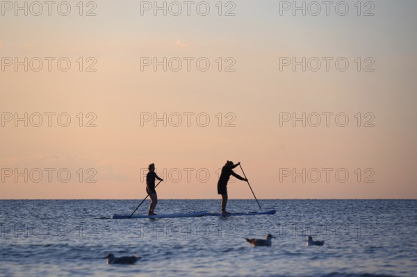 Two stand up paddlers on the Baltic Sea in the evening light, Ahrenshoop, Darß, Mecklenburg-Western Pomerania, Germany