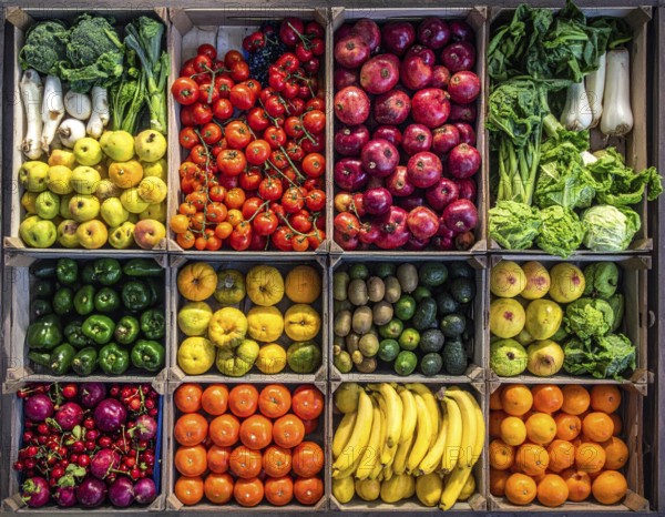 Fresh fruits and vegetables in a market display, aerial view perpendicular top down, healthy eating and lifestyle, AI generated