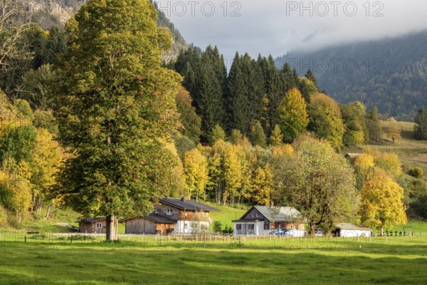 Autumn atmosphere, autumn-colored trees with agricultural estate, Oberstdorf, Oberallgäu, Allgäu, Bavaria, Germany