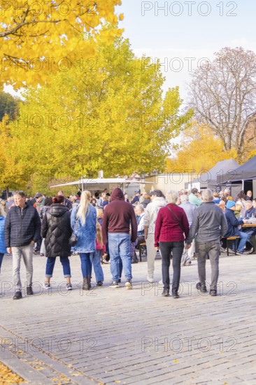 Group of people walking through an autumnal park with yellow deciduous trees, Urschelherbst street festival, Nagold, Germany