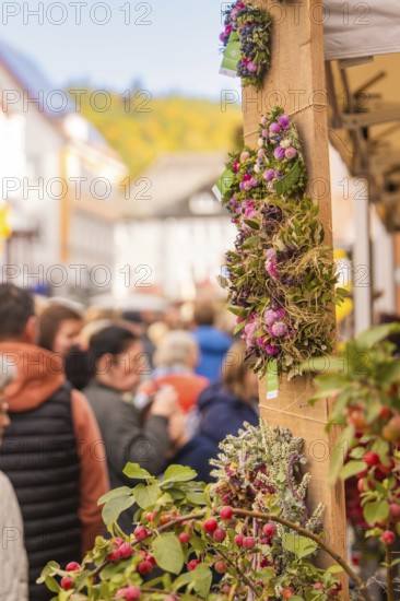 Busy shopping street in autumn, people strolling between modern buildings and colorful shops, Urschelherbst street festival, Nagold, Germany