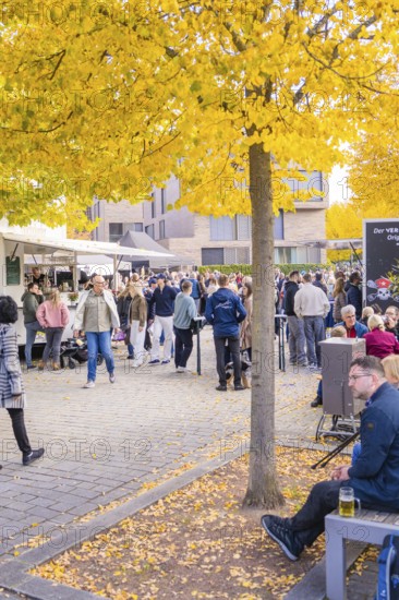 People gather at a street café at an autumn market under yellow trees, Urschelherbst street festival, Nagold, Germany