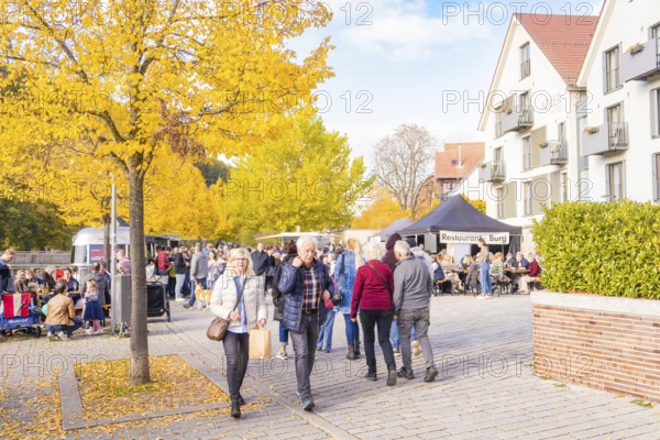 People enjoy an autumn day in a street café under golden trees, Urschelherbst street festival, Nagold, Germany