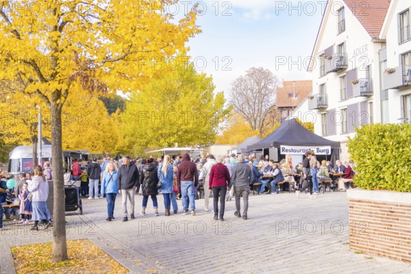 Busy street festival with lots of people, autumn trees and buildings in the background, Urschelherbst street festival, Nagold, Germany