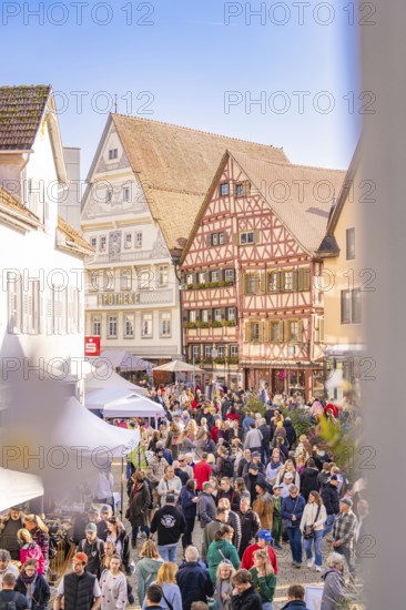 Lively market square in the old town with half-timbered houses in sunny weather, Urschelherbst street festival, Nagold, Germany