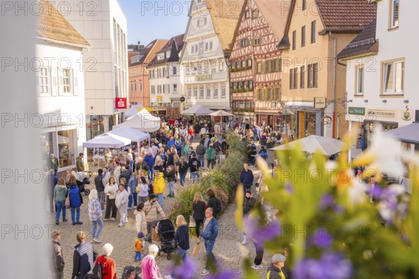 View of a lively market in a picturesque old town in sunshine, Urschelherbst street festival, Nagold, Germany